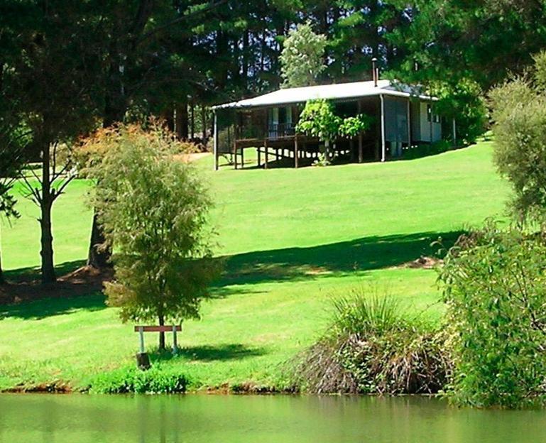 Hawke Brook Chalets Pemberton Værelse billede