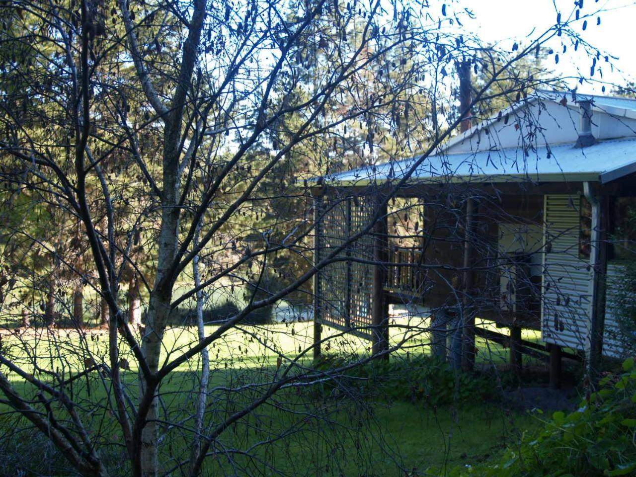 Hawke Brook Chalets Pemberton Eksteriør billede